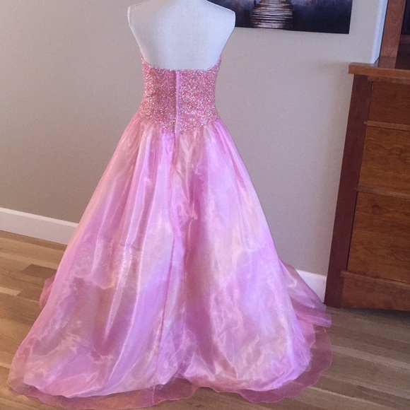 Princess Pink Prom Formal Dress Ball Gown Pageant Princess Quinceañera Barbie - Picture 14 of 16